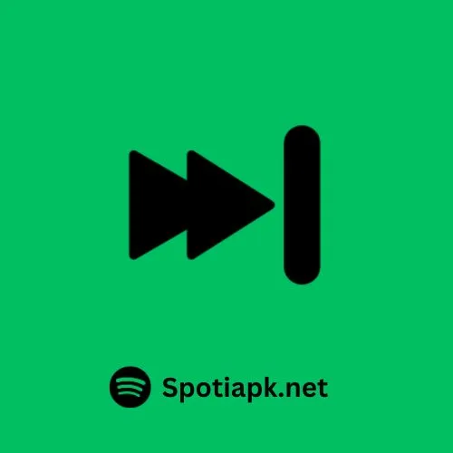 Features-Spotify-Pro-APK (6)